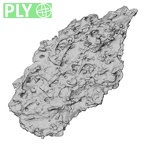 Pav3-d Homo sapiens trapezium right ply