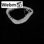 Pav3-f Homo sapiens metacarpal first left ct stack movie