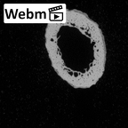 Pav3-g Homo sapiens hand phalanx first proximal right ct stack movie