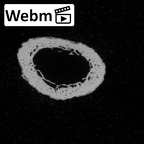 Pav3-h Homo sapiens hand phalanx first proximal left ct stack movie