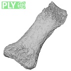 Pav3-h Homo sapiens hand phalanx first proximal left ply
