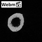Pav3-j Homo sapiens metacarpal second left ct stack movie