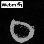 Pav3-m Homo sapiens hand phalanx fourth proximal left ct stack movie