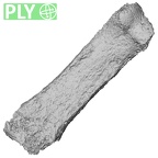 Pav3-m Homo sapiens hand phalanx third proximal right ply