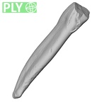 Pav5-1 Homo sapiens LRI1 ply