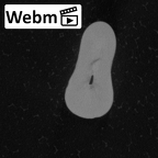 Pav5-2 Homo sapiens LLI1 ct stack movie
