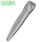 Pav5-2 Homo sapiens LLI1 ply