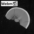 Pav6-1 Homo sapiens ULDM1 ct stack movie