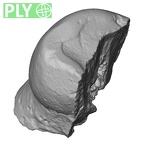 Pav6-1 Homo sapiens ULDM1 ply