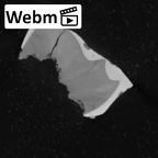 Pav6-2 Homo sapiens ULDM2 ct stack movie