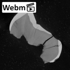 Pav7-1 Homo sapiens LLDM2 ct stack movie