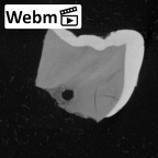 Pav8-1 Homo sapiens LRDM2 ct stack movie
