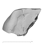 Pav8-1 H. sapiens LRDM2 2