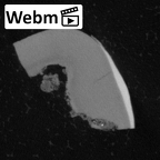 Pav8-1 Homo sapiens LRDM2 ct stack movie