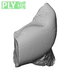 Pav8-1 Homo sapiens LRDM2 ply