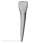 Pavlov30-11-I Homo sapiens incisor lingual