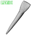 Pavlov30-11-I Homo sapiens incisor ply