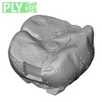 Pavlov32 Homo sapiens LM ply