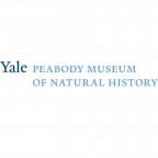 Yale Peabody Museum