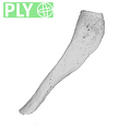 Arene_Candide_2_Homo_sapiens_hyoid_horn_ply.ply