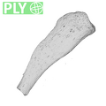 Arene_Candide_2_Homo_sapiens_hyoid_horn_2_ply.ply