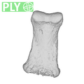 La Fate 10 Homo neanderthalensis hand intermediate phalanx ply