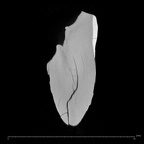 La Fate 11 Homo neanderthalensis ULI2 ct slice