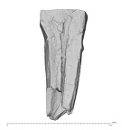 La Fate 11 Homo neanderthalensis ULI2 labial