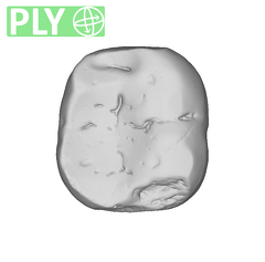 La Fate 6 Homo neanderthalensis LRM ply
