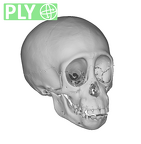 CCEC-50001738 Pan skull ply