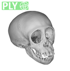 CCEC-50001746 Pan skull ply