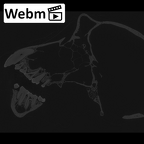 CCEC-50001793 Pan troglodytes skull webm