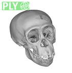 CCEC-50001796 Pan troglodytes skull ply