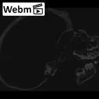 CCEC-50001796 Pan troglodytes skull webm