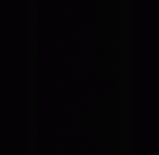 CCEC-50001988 Pan troglodytes ssp. skull gif