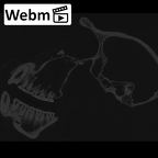 CCEC-50001988 Pan troglodytes ssp. skull webm