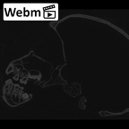 CCEC-50002604 Pan troglodytes skull webm