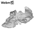 KNM-WT 17000 Paranthropus aethiopicus cranium medical ct movie