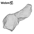 KNM-ER 1470 Homo rudolfensis occipital fragment ply movie