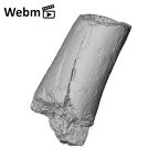 KNM-ER 1505B Hominin left femur shaft fragment ply movie