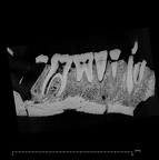 KNM-ER 992B Homo erectus partial mandible high res ct slice