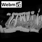 KNM-ER 992B Homo erectus partial mandible high res ct stack movie