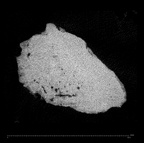 KNM-WT 15000AX Homo erectus left os coxae fragment ct slice