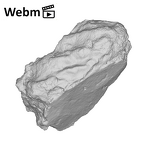 KNM-WT 15000AX Homo erectus left os coxae fragment ply movie