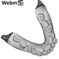 KNM-WT 15000B Homo erectus mandible high res ply movie