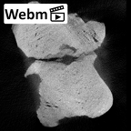 KNM-WT 15000M Homo erectus right distal femur ct stack movie