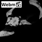 KNM-WT 17000 Paranthropus boisei cranium ct stack movie
