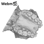 KNM-WT 17400 Paranthropus boisei maxilla ply movie
