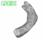 TPL3 Homo sapiens partial mandible ply