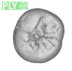 NMNH SI 18 Homo sapiens LLM ply